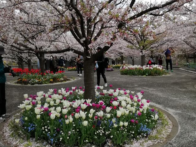 `[bvY킾ȁcB
猩ɍŝɁÂԂCɂȂācB_L