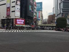 SKSY̏aJwOXNu_ւ̓eʐ^1