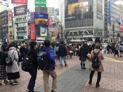 SAKURȀaJwOXNu_ւ̓eʐ^1