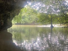 Ƃ̃tB[hlC`[Ί_ւ̓eʐ^1