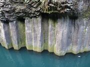 E102̍䋬̒ߗ̓eʐ^1