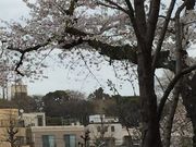 apple̔d₳؂̃TN̓eʐ^1