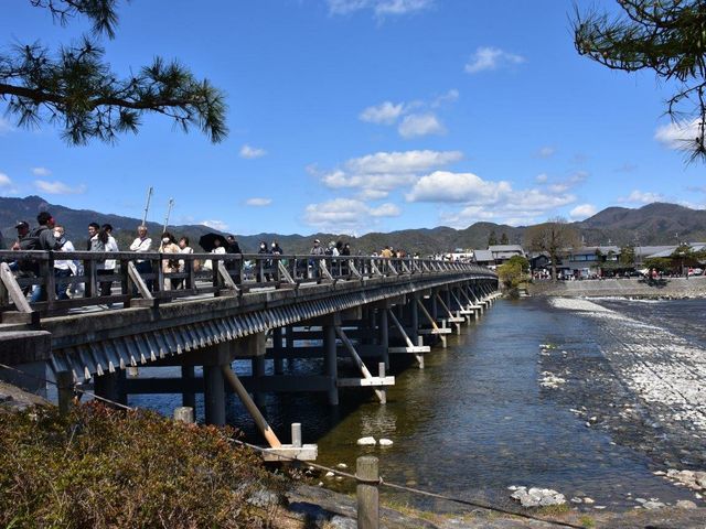 �n����_�n����