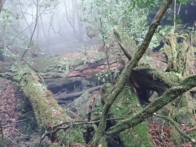 ���v��_���N�X�M�����h