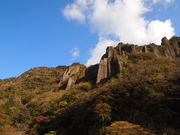 �˂�����񂳂�̗��v�b���̓��e�ʐ^3