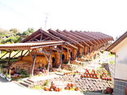 ˂񂳂̉Â₫̗̂̓eʐ^1