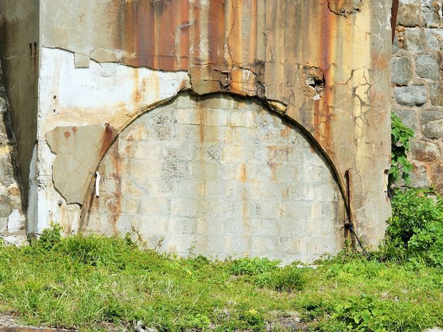 �p���g���l��_�[�� �i�R�͓��j