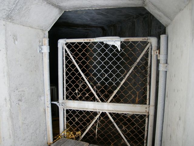 �ʘH_�[�� �i�R�͓��j