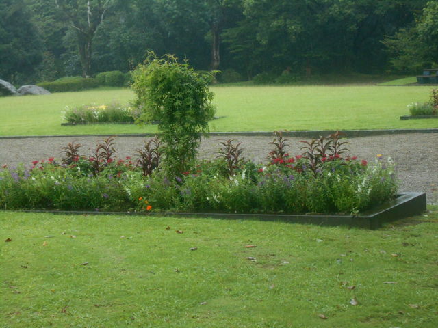 �A���̎ʐ^_�t�F�j�b�N�X