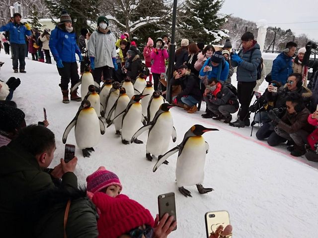 ��Ԃ����ǂ���_���R������