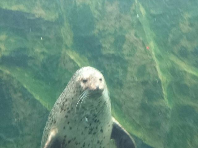 ���R������