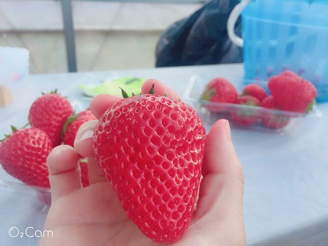 �H�ו���œ��X�ł�_�t���[�c�K�[�f���䂤