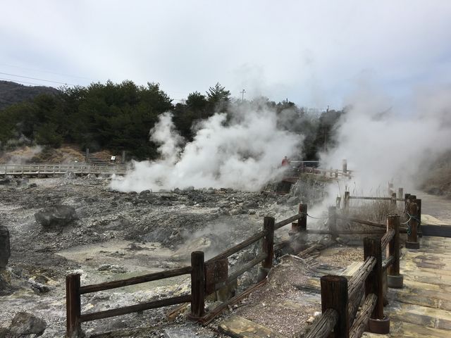 �C_�_�厩�R�����H