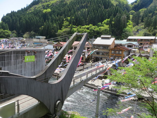 Ԃ񂳂̏񗧋{Pz[̓eʐ^1