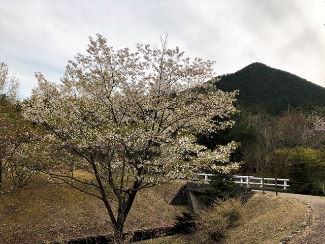 ߍ]xmԗΌ猩ORB_ORiߍ]xmj