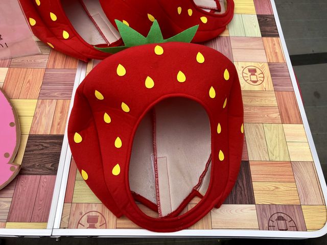 �����������ɂȂꂽ��蕨_�T�j�[�_��