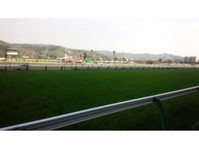 �Ő����ƂĂ��Y��ł�_�������n��