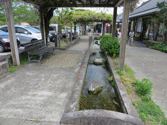 �Ԃ���񂳂�̓��̉w ���悩��ւ̓��e�ʐ^1