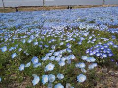 ߂̑܂܃V[TChp[Nւ̓eʐ^1