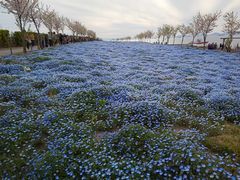 ߂̑܂܃V[TChp[Nւ̓eʐ^2