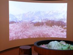 ڂ炳̒挧RRjقւ̓eʐ^1