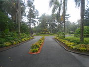 �Ƃ��̂�P����̐��̈��M�ѐ��A���Q���̓��e�ʐ^1