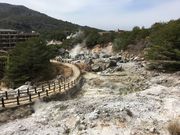 poporon����̉_�厩�R�����H�̓��e�ʐ^5