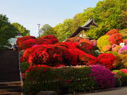 ܂񂳂̓o@̃ccW̓eʐ^1