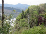 Ԃ񂳂̋ڐ_΂̓eʐ^1