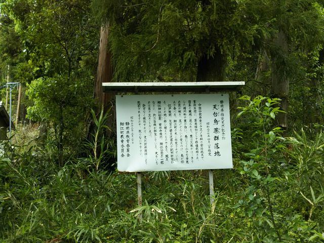 ��������񂳂�̓V��G��̓��e�ʐ^1