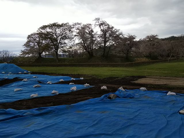 �؂Ɉ͂܂ꂽ�Ƃ��낪�{�ې�_��ˏ��