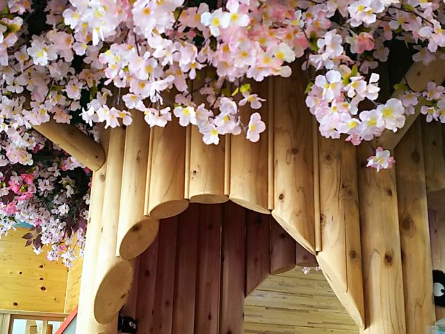 ̖؂̊_Lotusgroup Vя@؈L