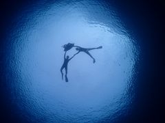 ΂Ȃ̃V}n@}T[rXւ̓eʐ^1