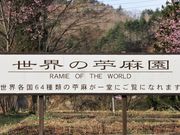 Ƃ񂳂̂ނH|ق̓eʐ^1