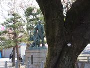 jkammy07̋ʐZ̑̓eʐ^1