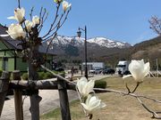 q[X̓̉w炢@Jp[i炢̓eʐ^1