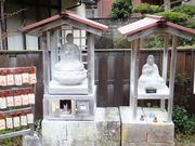 ���ڂ炳��̐��ގ��̓��e�ʐ^1