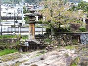 ���ڂ炳��̓���t�̓��e�ʐ^1