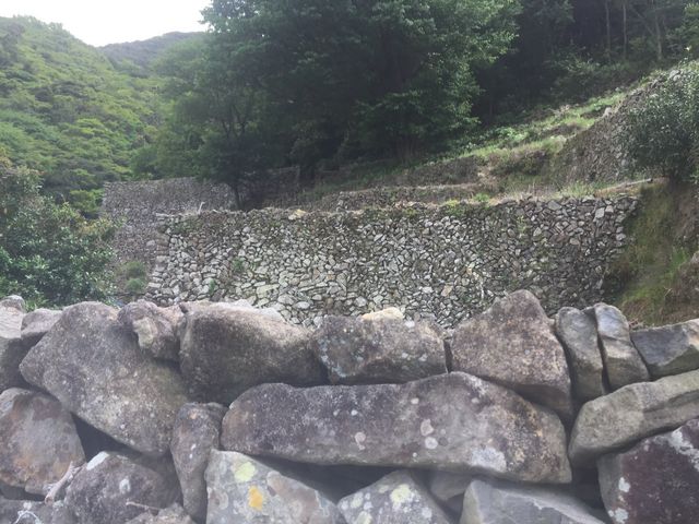 Ƃ񂳂̊OuΊ_̗v̓eʐ^1