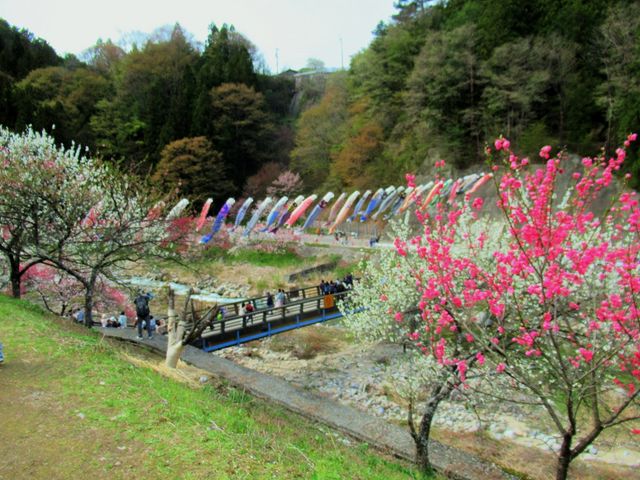 ��Ƌ��Ɖԓ��ƌ�̂ڂ�_�����̗�