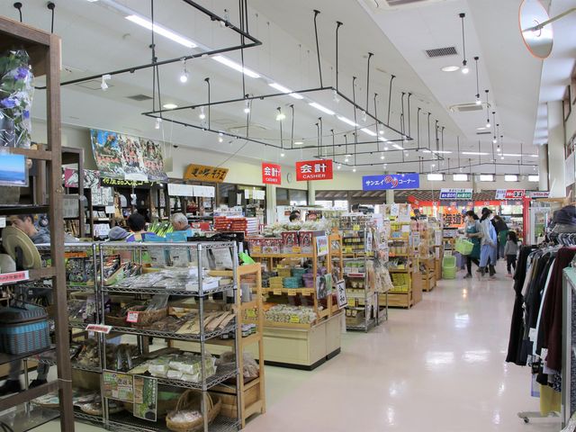 �X��_���̉w ������