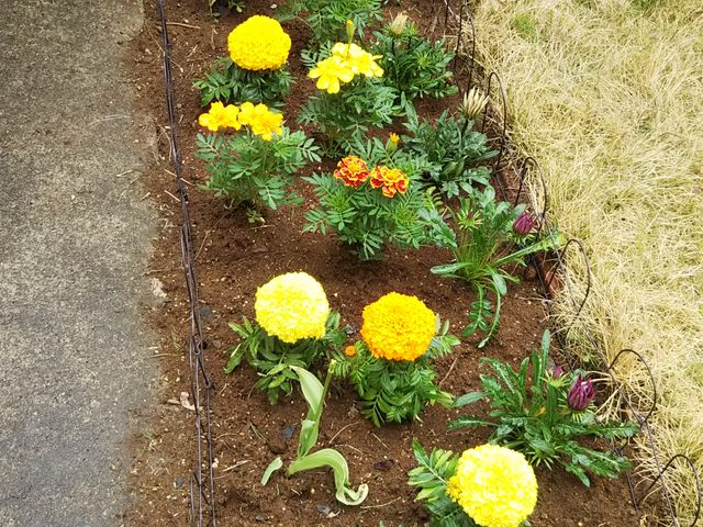 �Ԓd�ɐA���܂����B_�g�L�����|�_���Ԗ؃Z���^�[