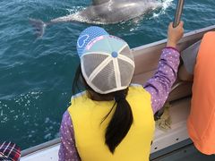 Tg~̓쓇CJEHb`Oւ̓eʐ^1