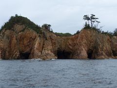 [ڂ̐CN[Yւ̓eʐ^1