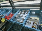 ڂ񂳂̎lG؊ق̓eʐ^12