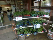 ڂ񂳂̎lG؊ق̓eʐ^14