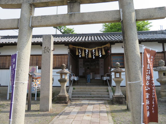 �t���_��_�����t���_��