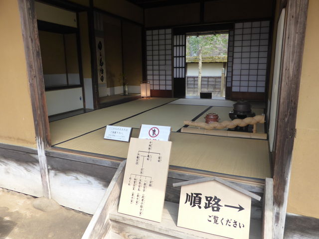 �يt_�����يt