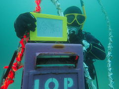 喂_̈ɓ_CrOXN[ gbcւ̓eʐ^1