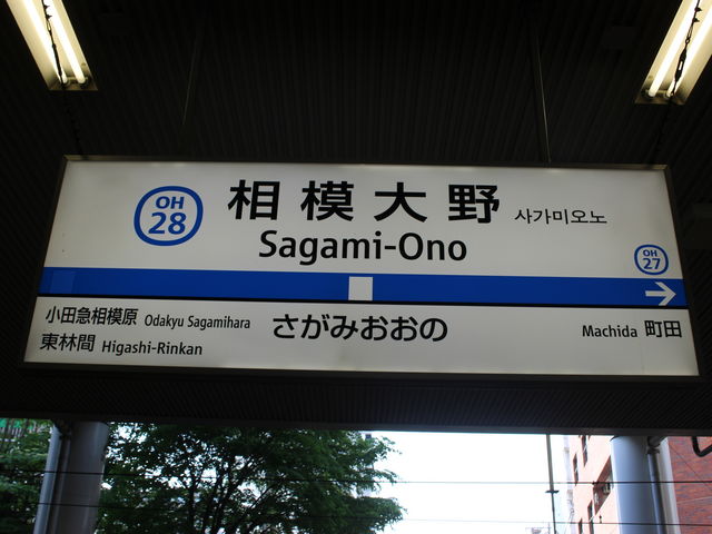 �w���[_���c�}�d�S���͑��w